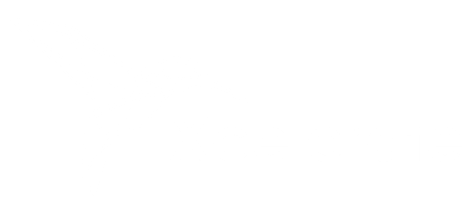 Xcelerate