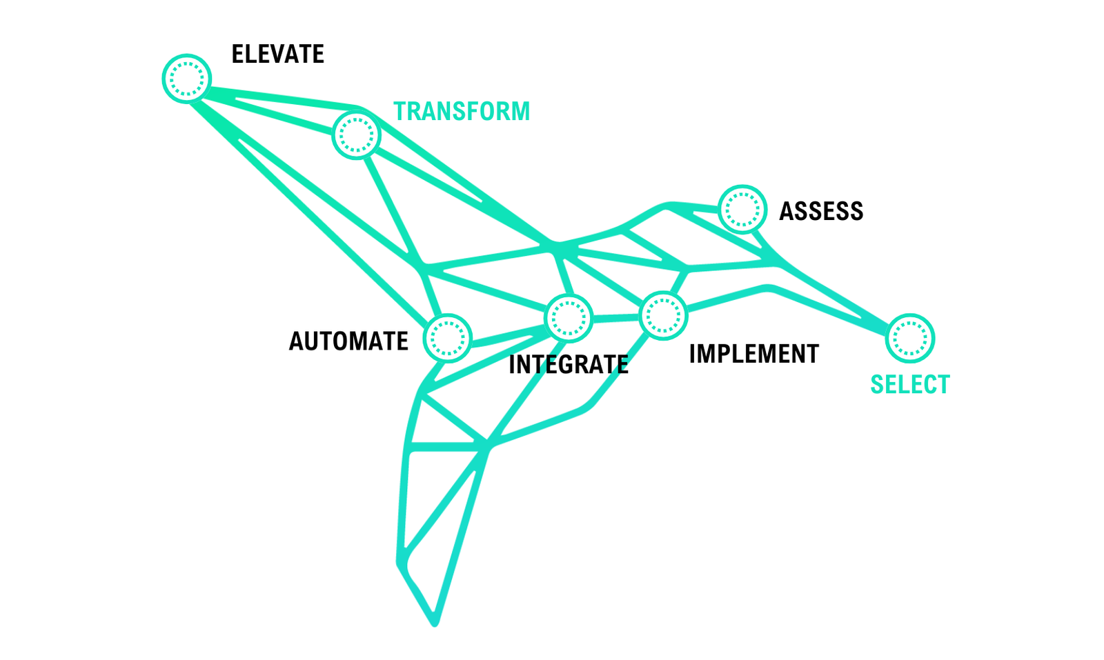 Xcelerate Blueprint