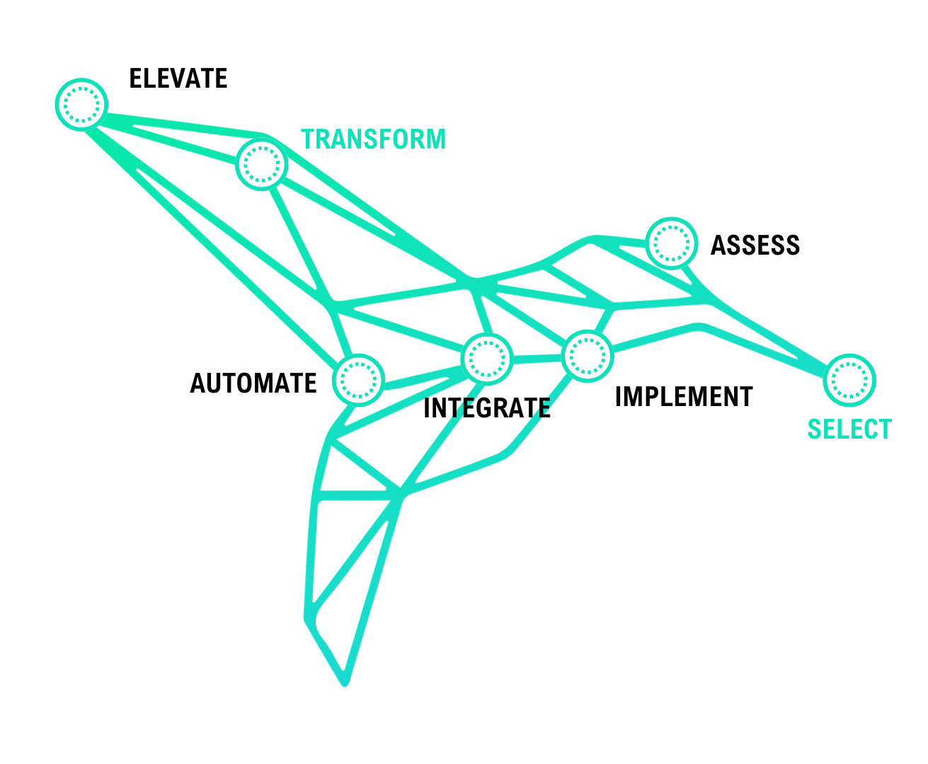 Xcelerate Blueprint